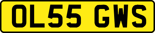 OL55GWS
