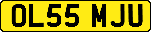 OL55MJU