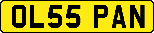 OL55PAN