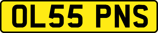 OL55PNS