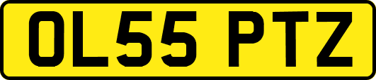 OL55PTZ