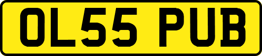 OL55PUB