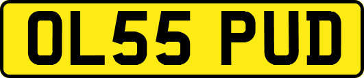 OL55PUD