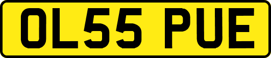 OL55PUE