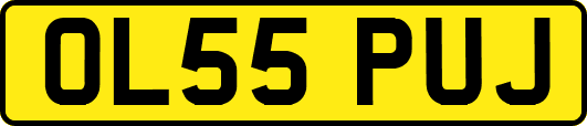 OL55PUJ