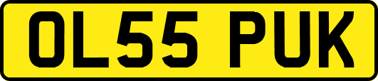 OL55PUK