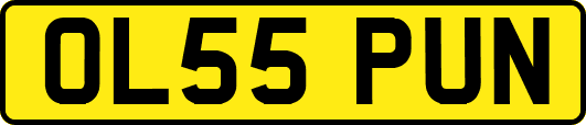 OL55PUN