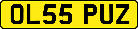 OL55PUZ
