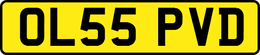 OL55PVD