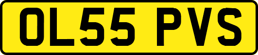 OL55PVS