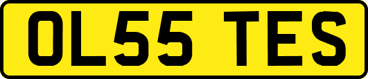 OL55TES