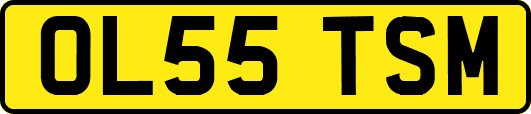 OL55TSM