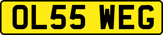 OL55WEG