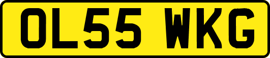 OL55WKG