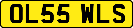 OL55WLS