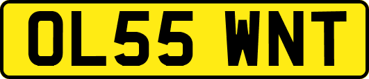 OL55WNT