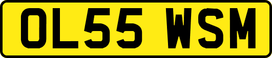 OL55WSM