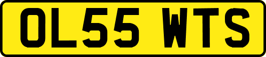 OL55WTS