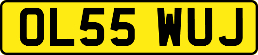 OL55WUJ