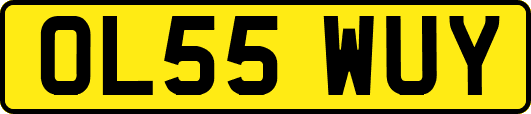 OL55WUY