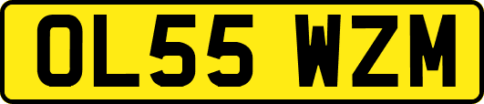 OL55WZM