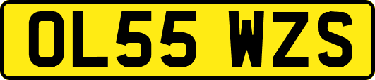 OL55WZS