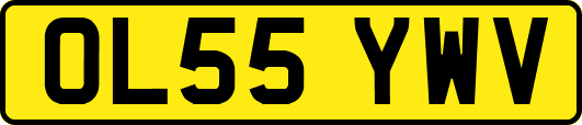 OL55YWV