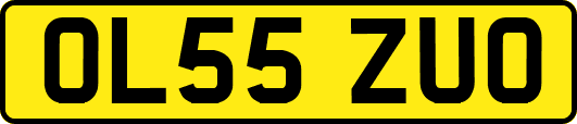 OL55ZUO
