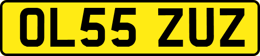 OL55ZUZ