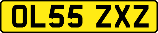 OL55ZXZ