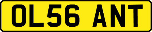OL56ANT