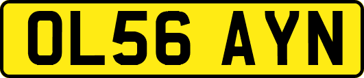 OL56AYN