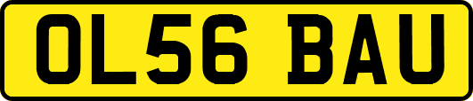 OL56BAU