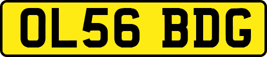 OL56BDG
