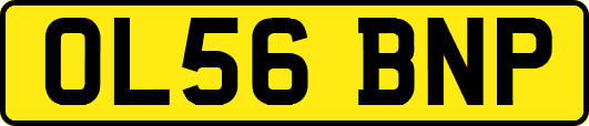 OL56BNP