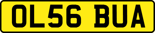 OL56BUA