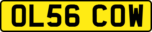 OL56COW