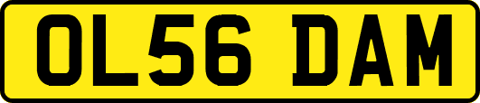 OL56DAM