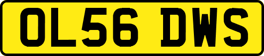 OL56DWS