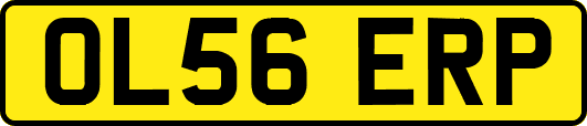 OL56ERP