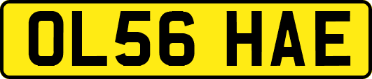OL56HAE