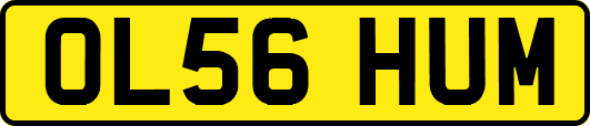 OL56HUM