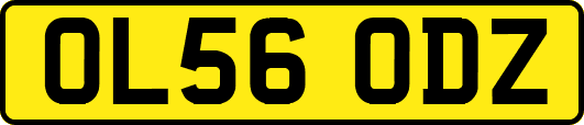 OL56ODZ