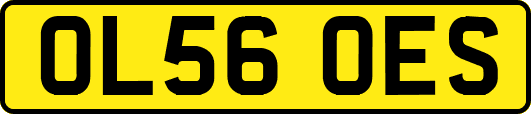 OL56OES