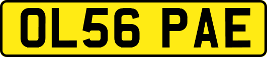 OL56PAE