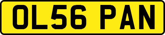 OL56PAN