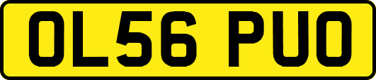 OL56PUO