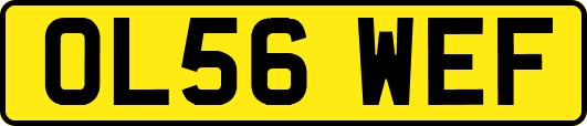 OL56WEF