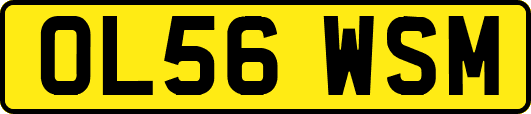 OL56WSM