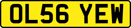 OL56YEW